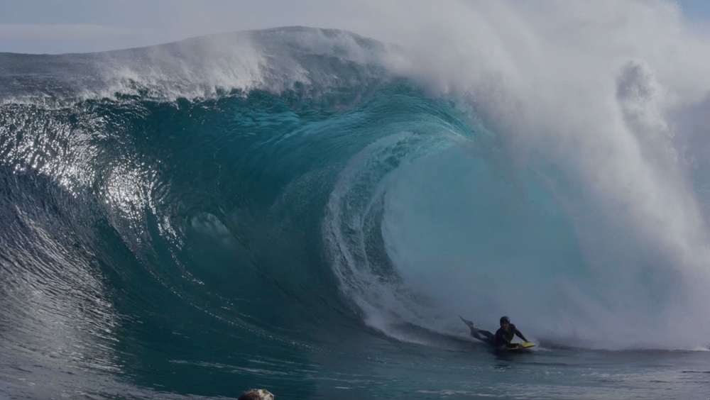 Photo: Tim Bonython Photo: Tim Bonython